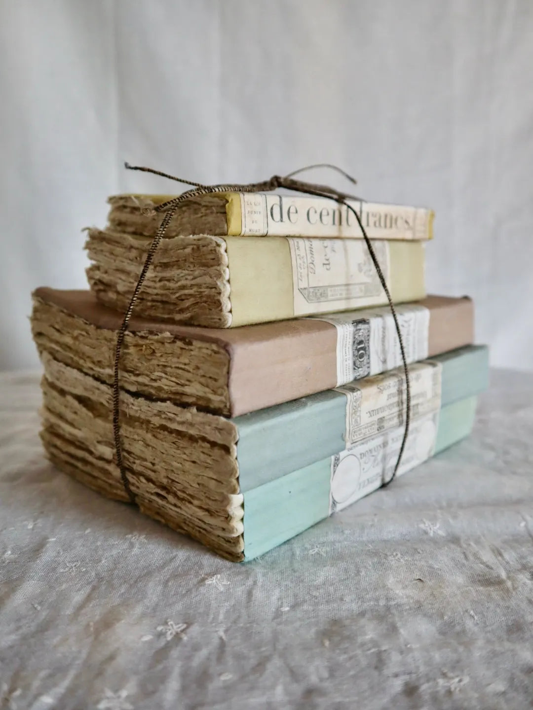 Ensemble de 5 livres aux “assignats” – Les Bleuets