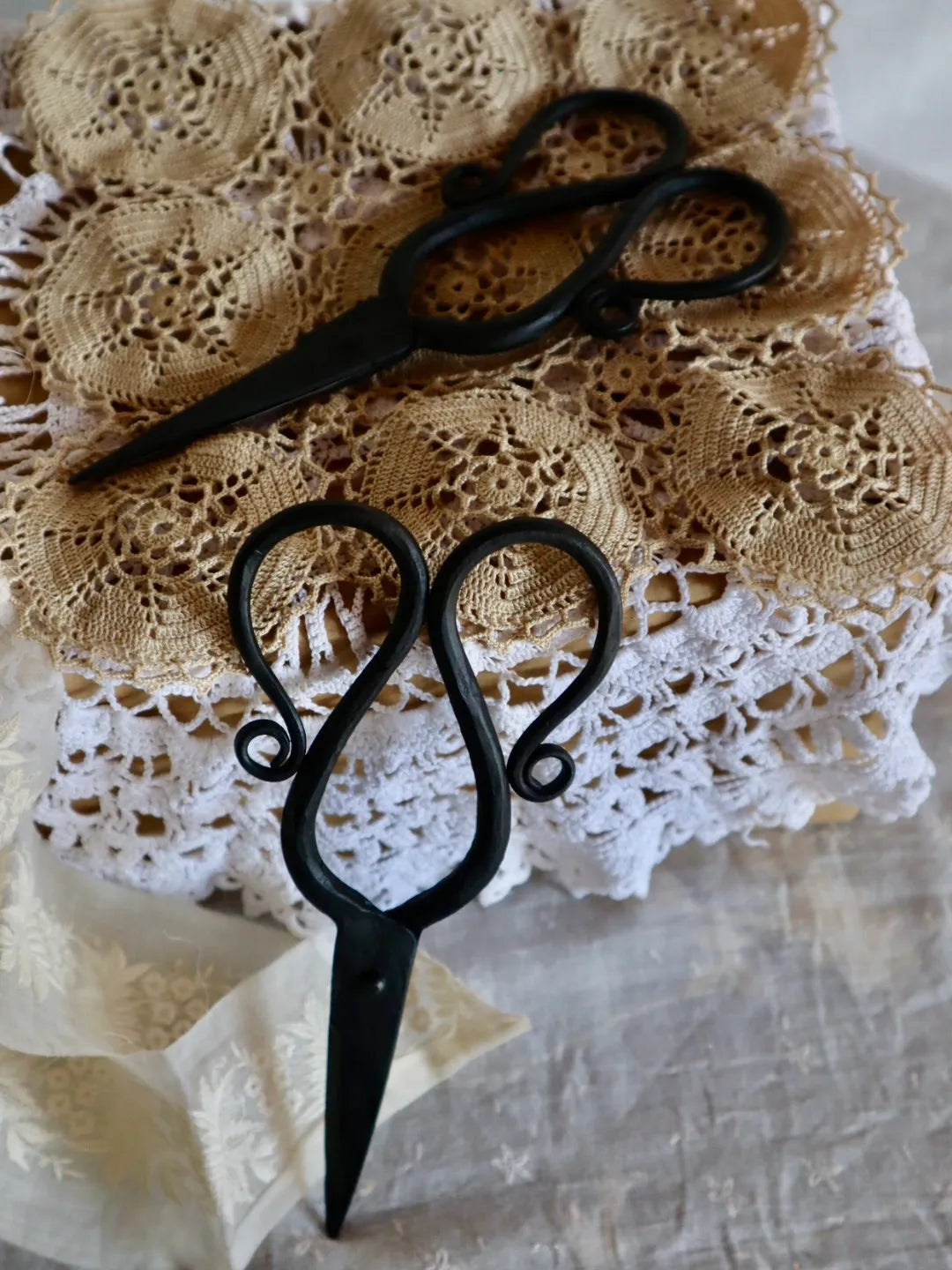 Ciseaux du jardinier