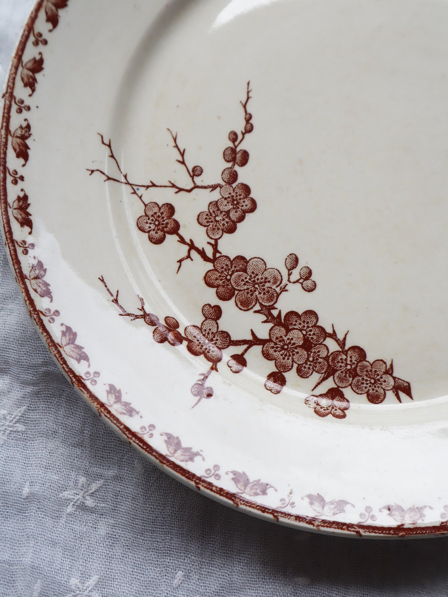 Sarreguemines U&C Carmens assiette à gâteau G