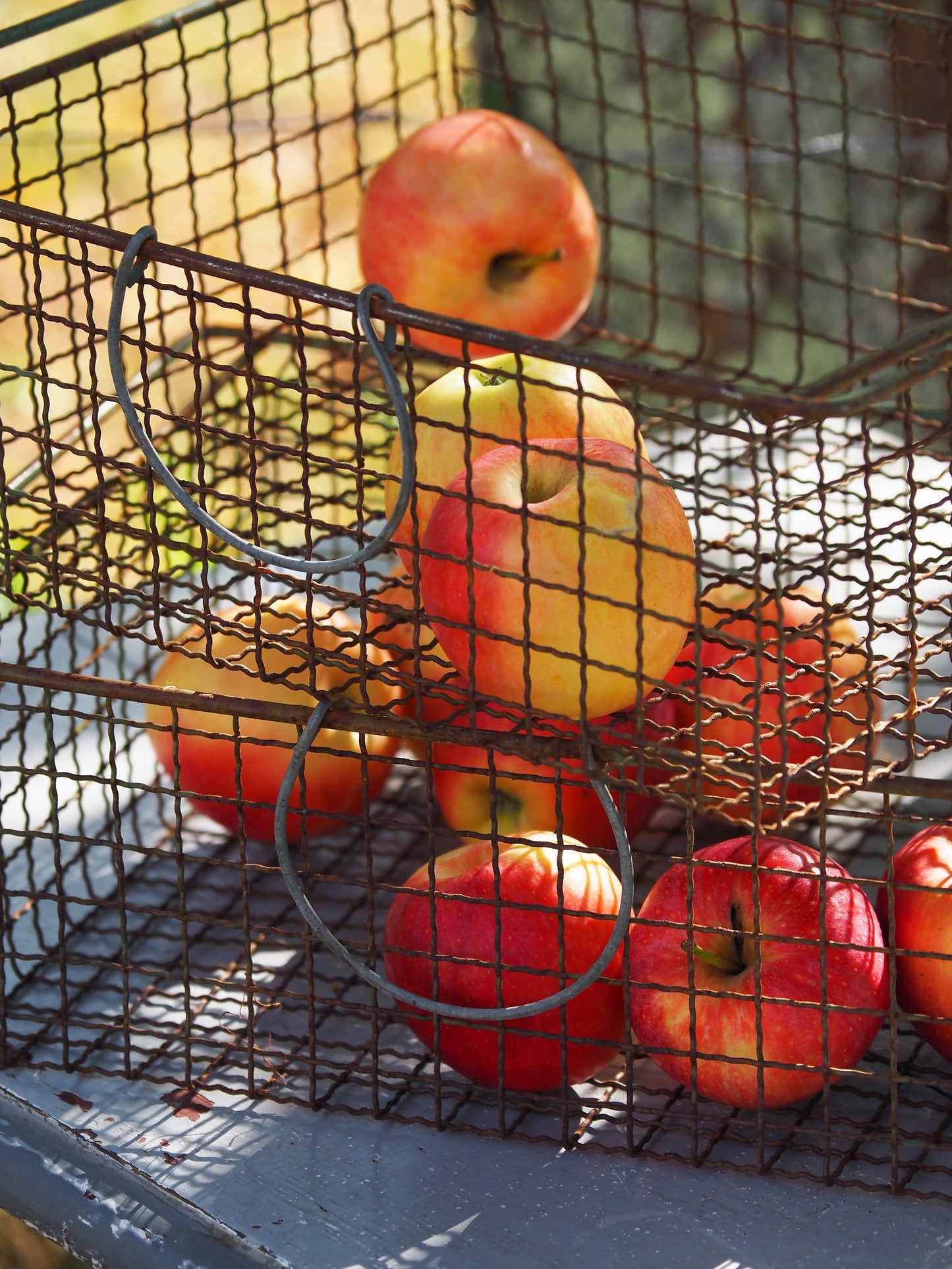 Panier métallique avec poignées empilable