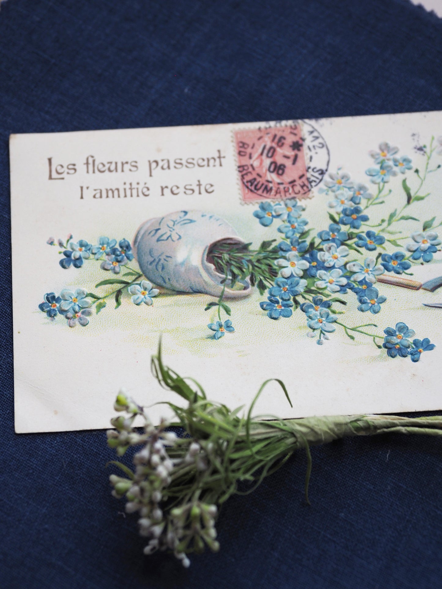 Les fleurs passent l'amitié reste