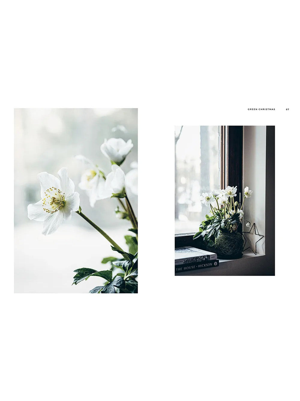 Green Christmas – Wreaths & Floral Arrangements