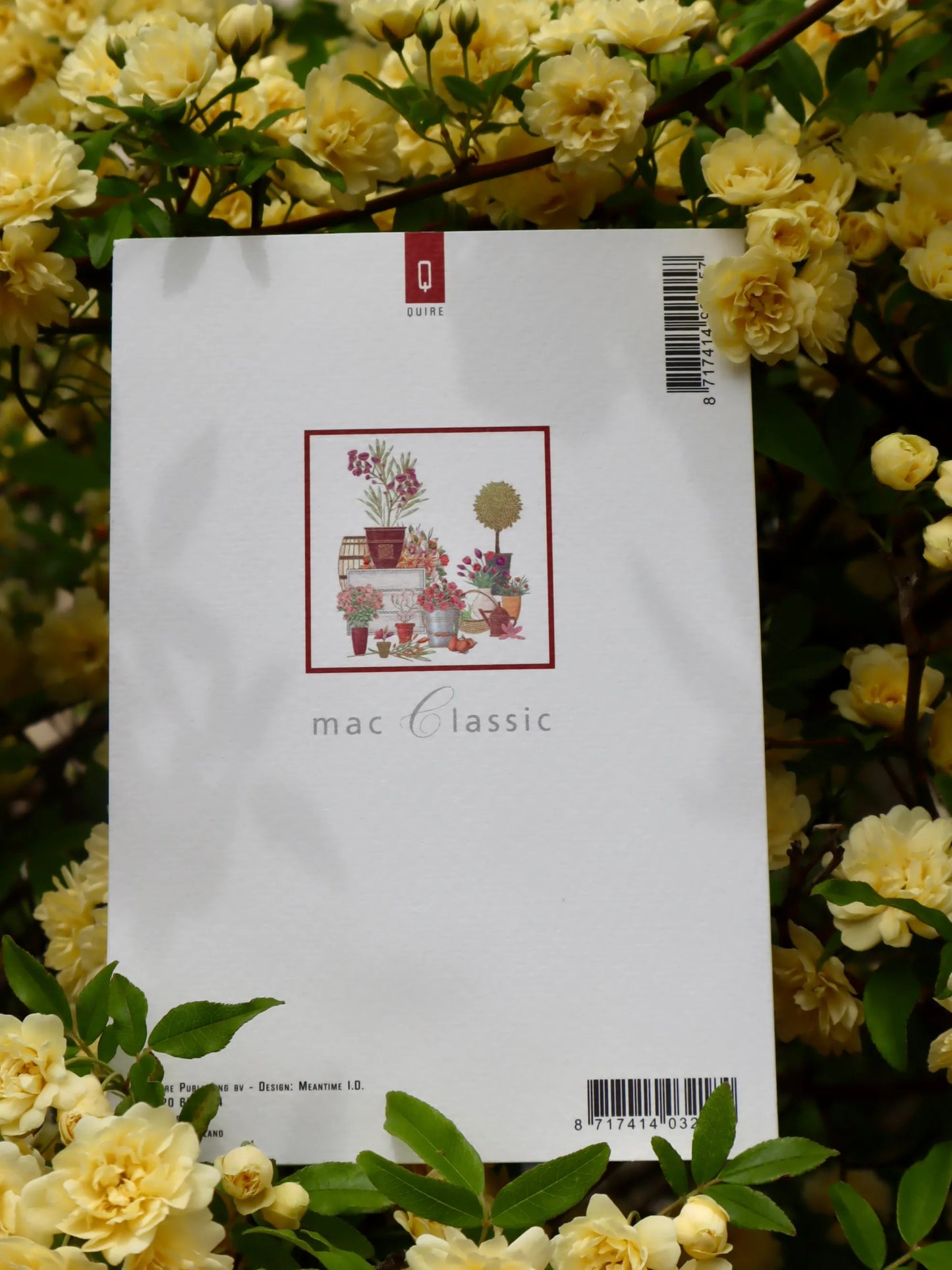 Carte Postal (Jardin)
