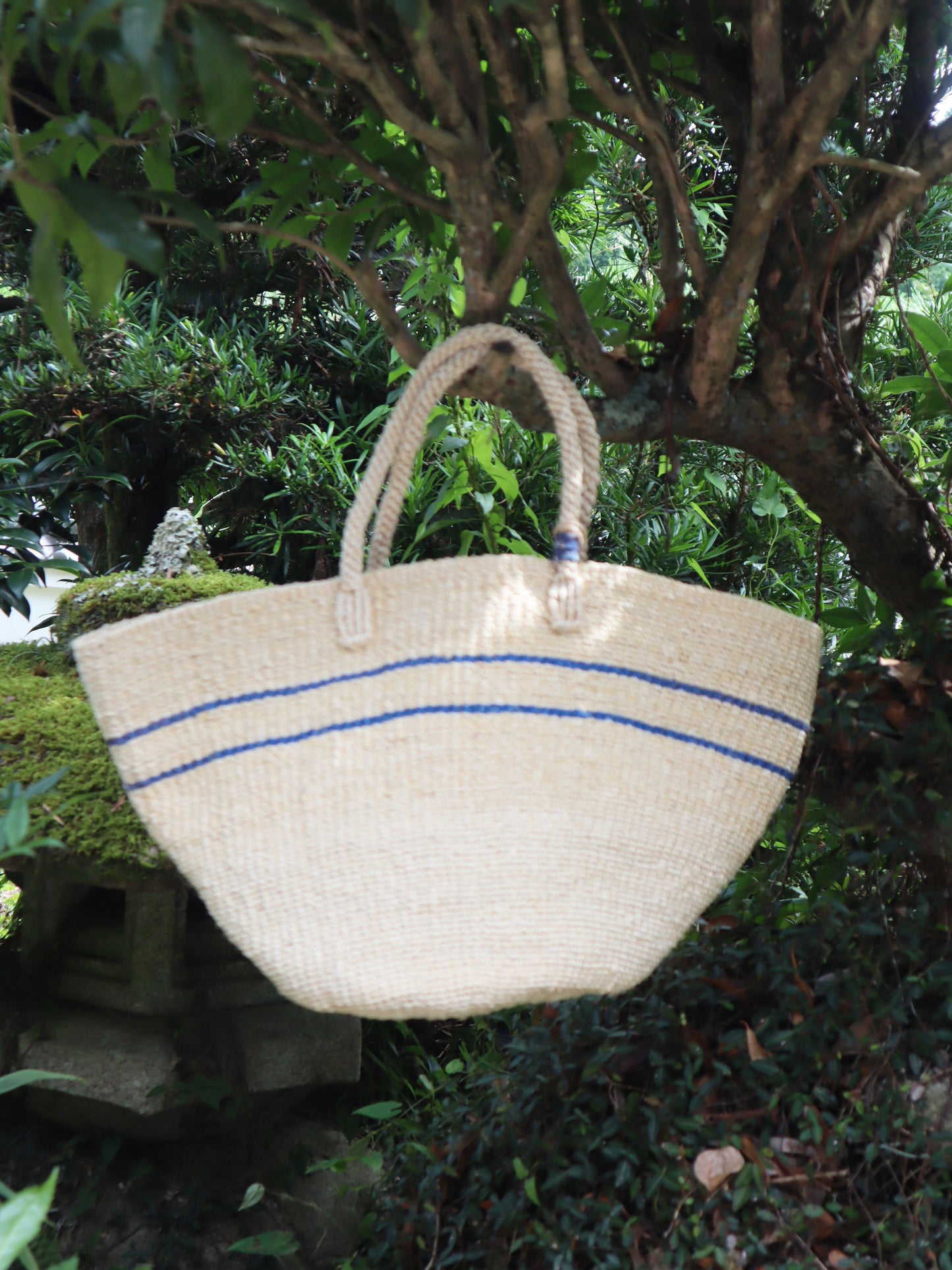 Marche Torchon(W×B)