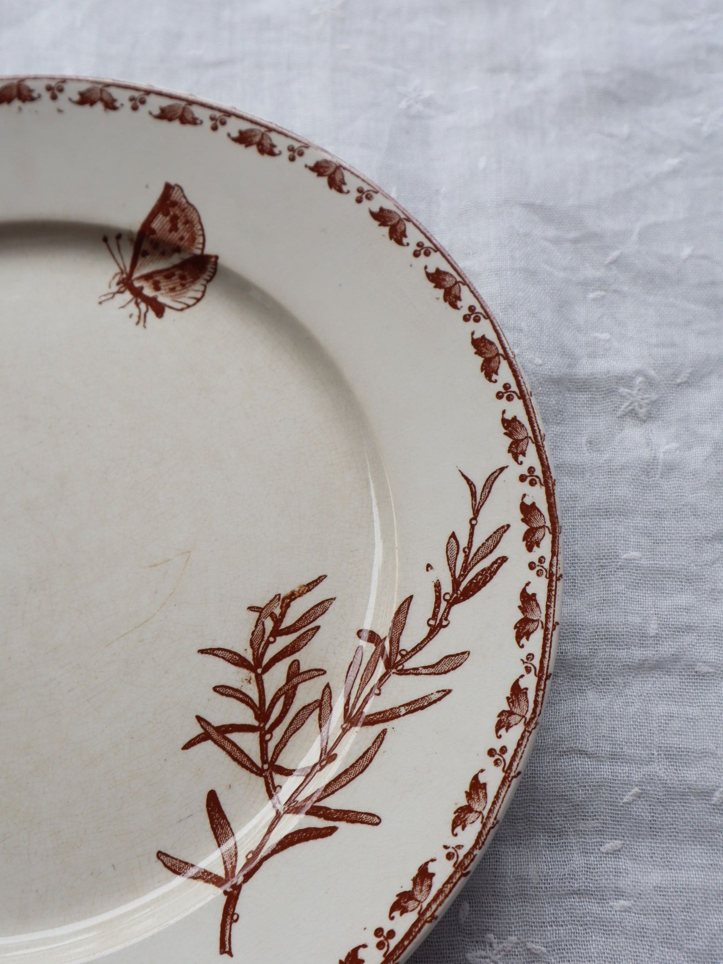 Sarreguemines Carmen assiette plate D