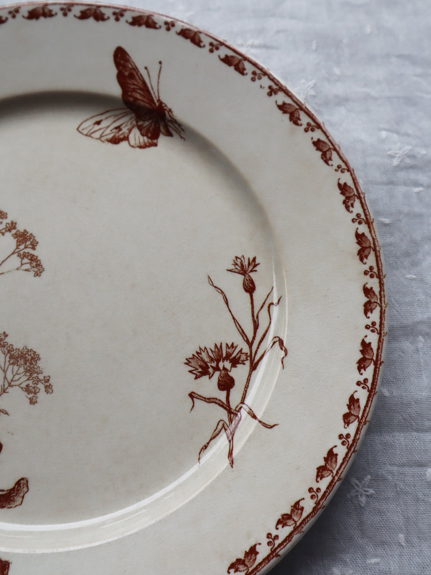 Sarreguemines Carmen assiette plate K