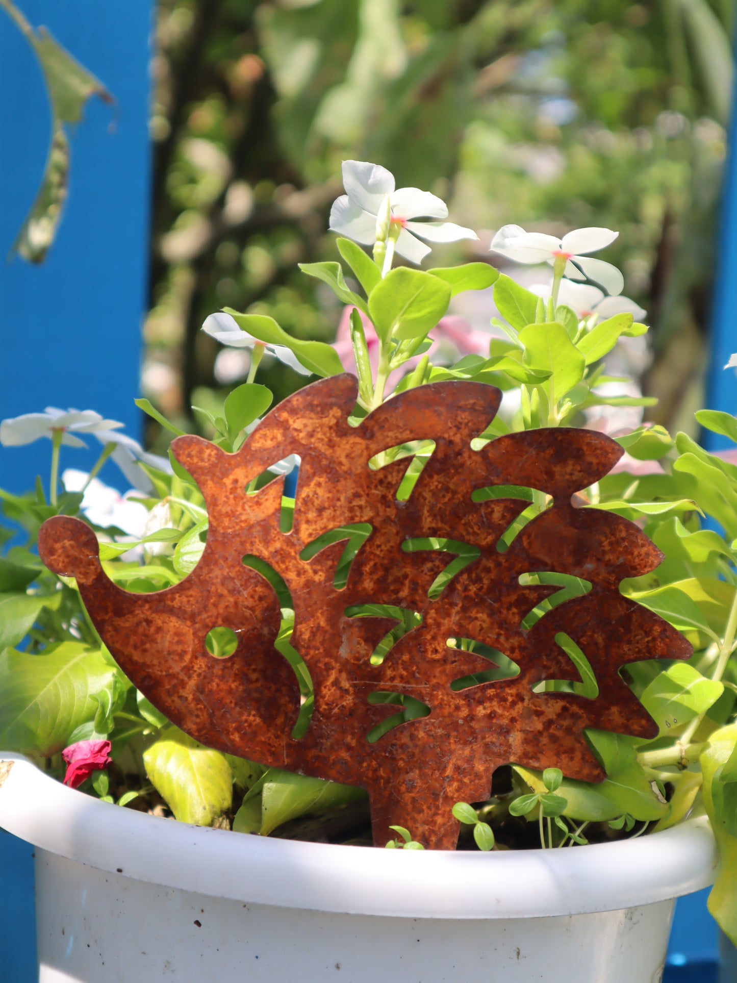 Hérisson de pissenlit en fer brut L