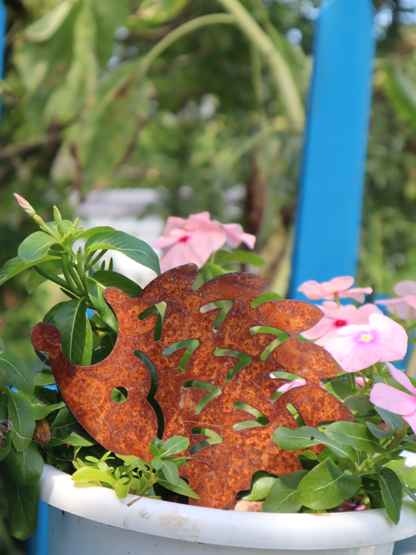 Hérisson de pissenlit en fer brut S