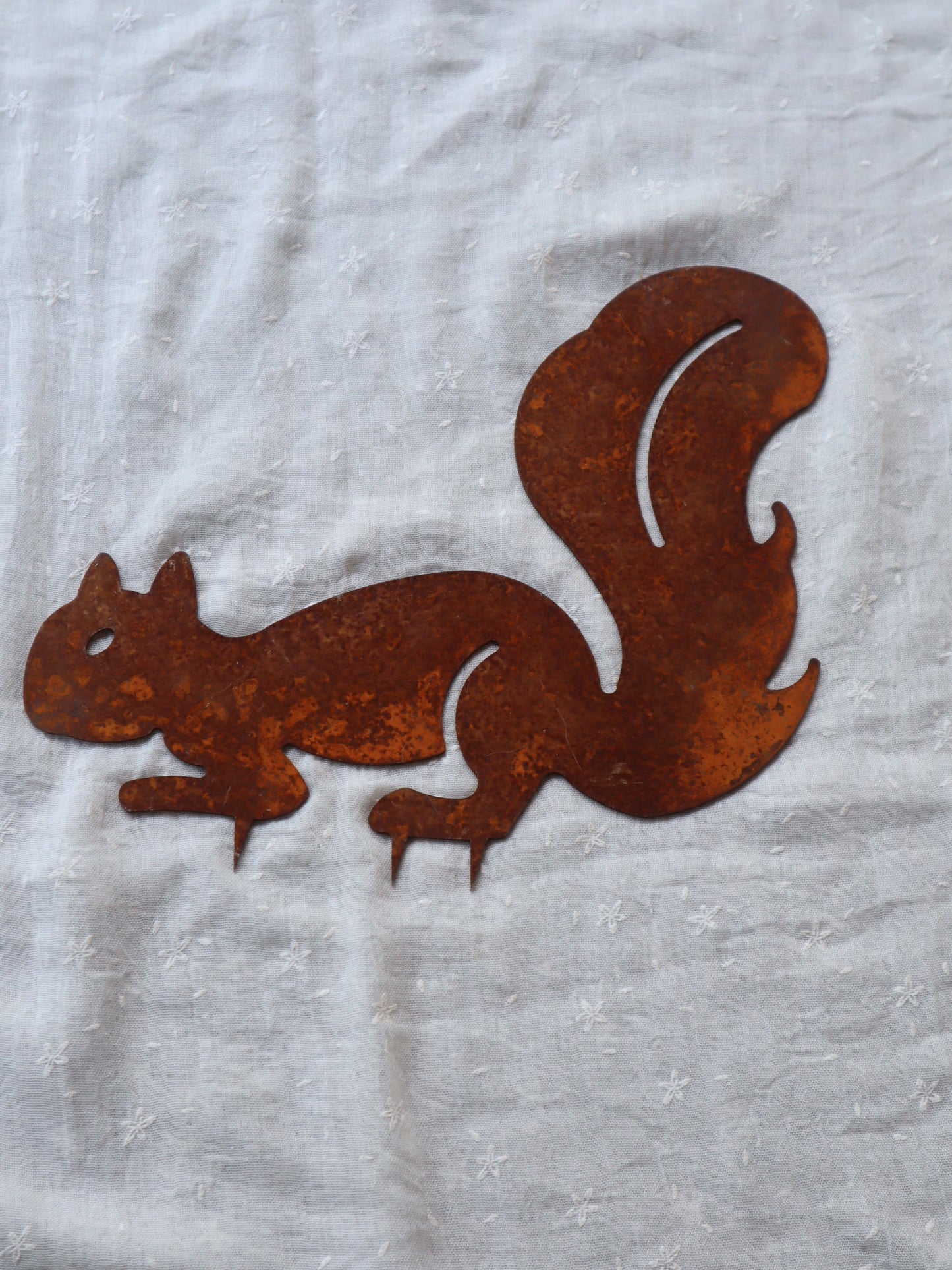 Écureuil de pissenlit en fer brut