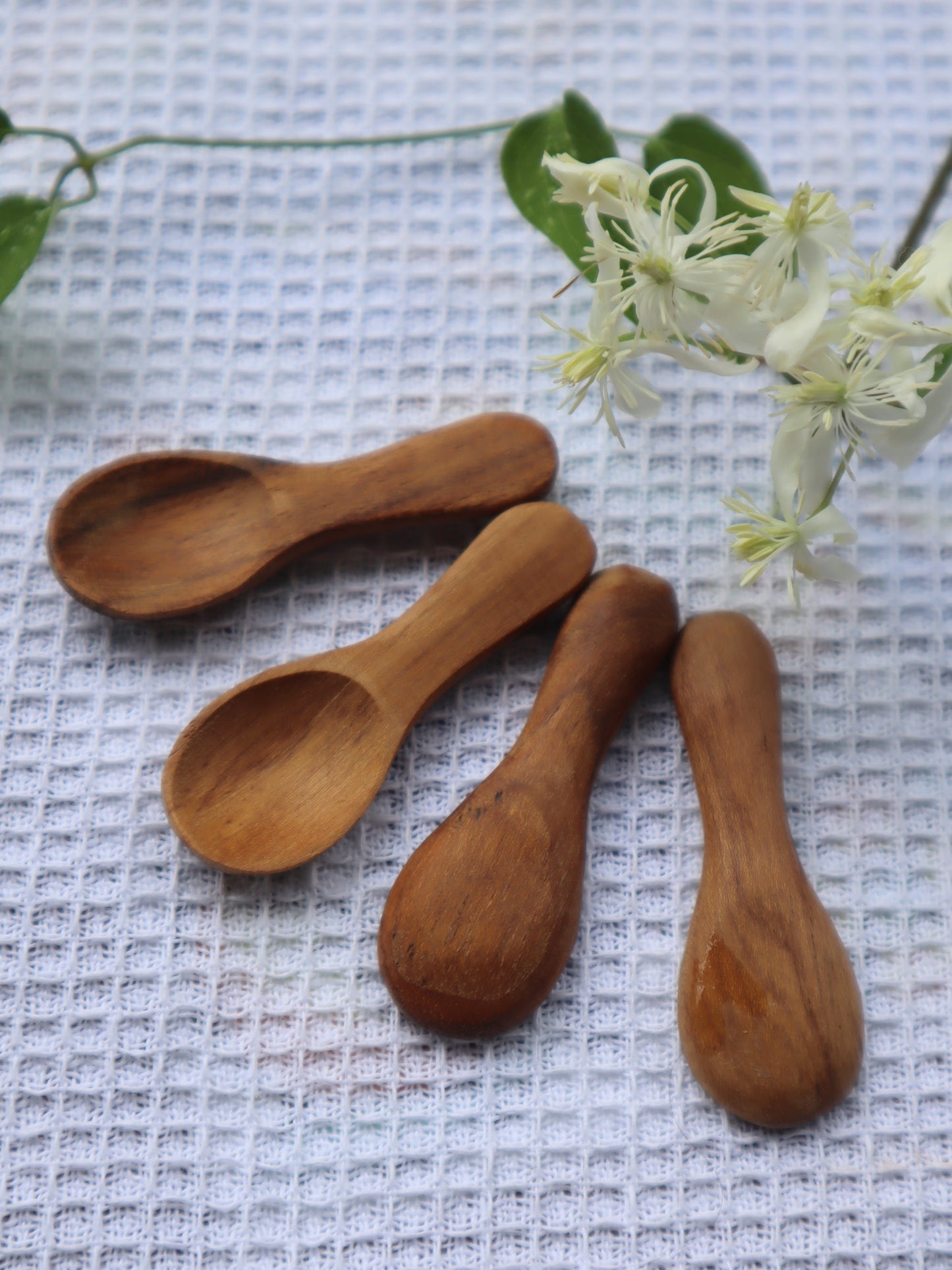 Mini cuillère(Lot 4)