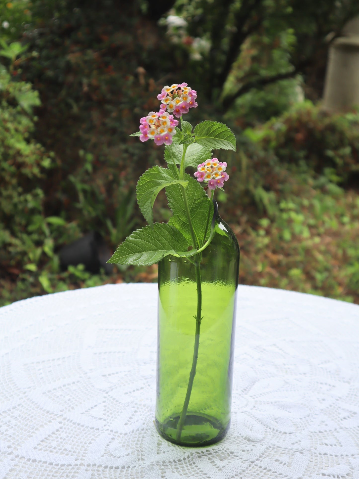Carafe à eau vert