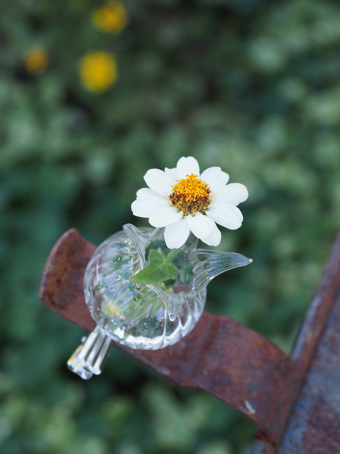 Vase à fleurs tulipes avec pince(lot3)