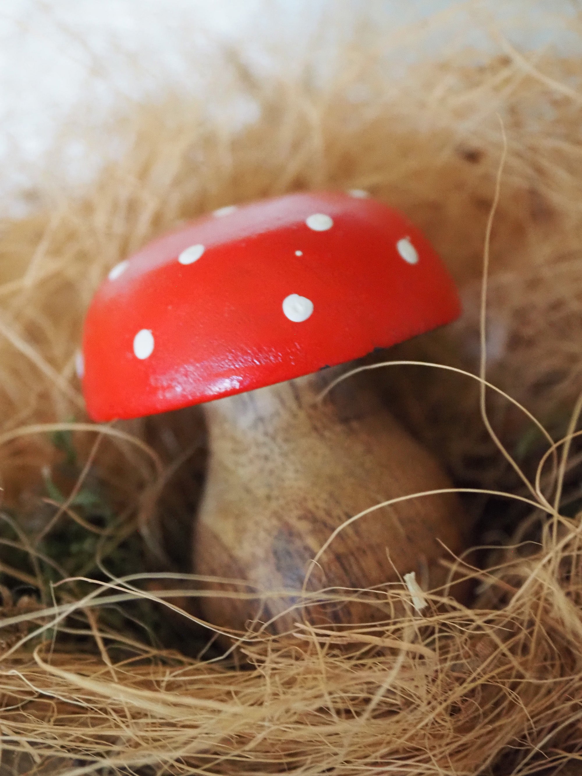 59s france キノコ図鑑 Champignon de France 59s france キノコ図鑑 Champignon de France - メルカリ
