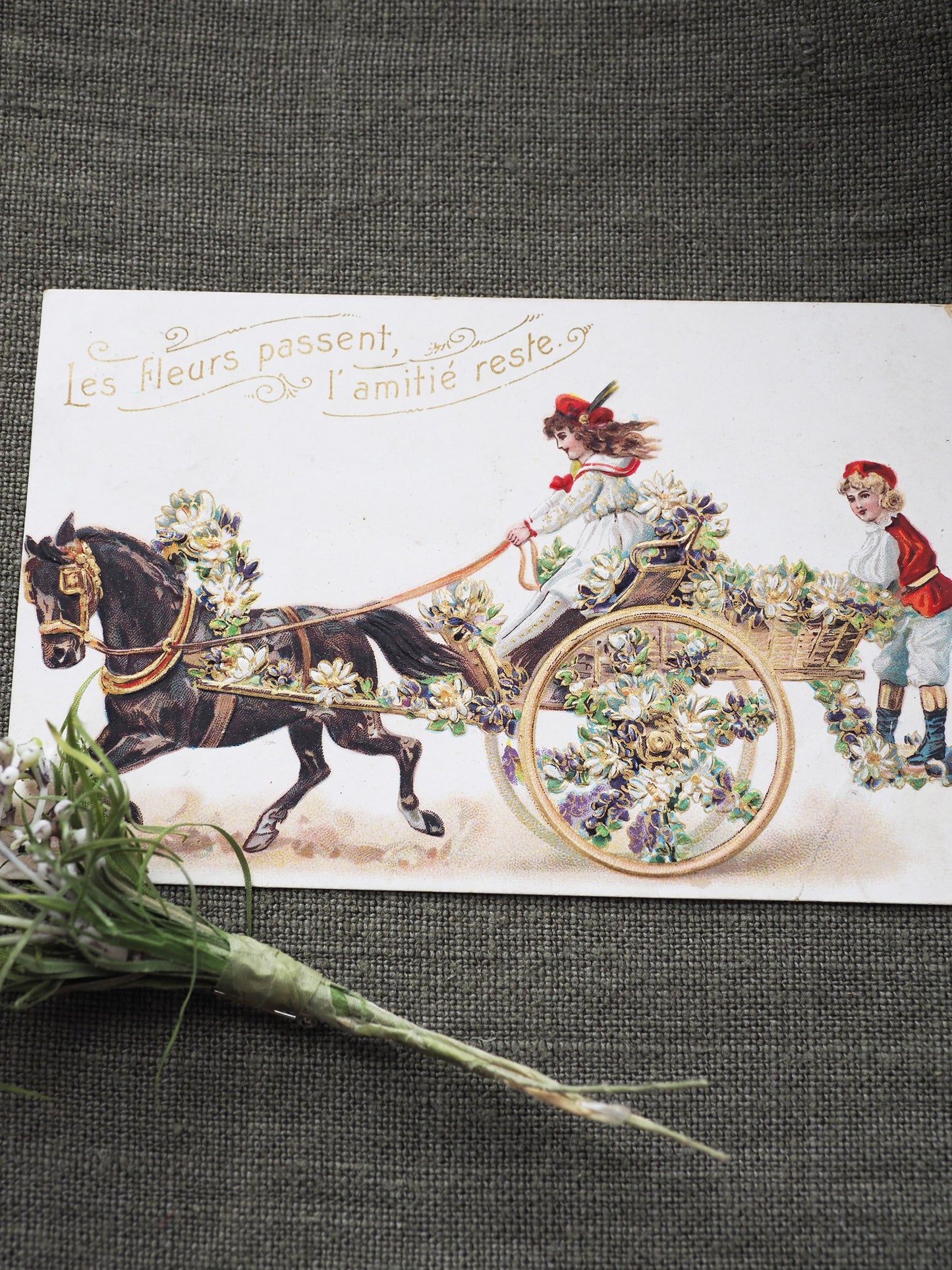 Les fleurs passent l'amitié reste（pour hiver）