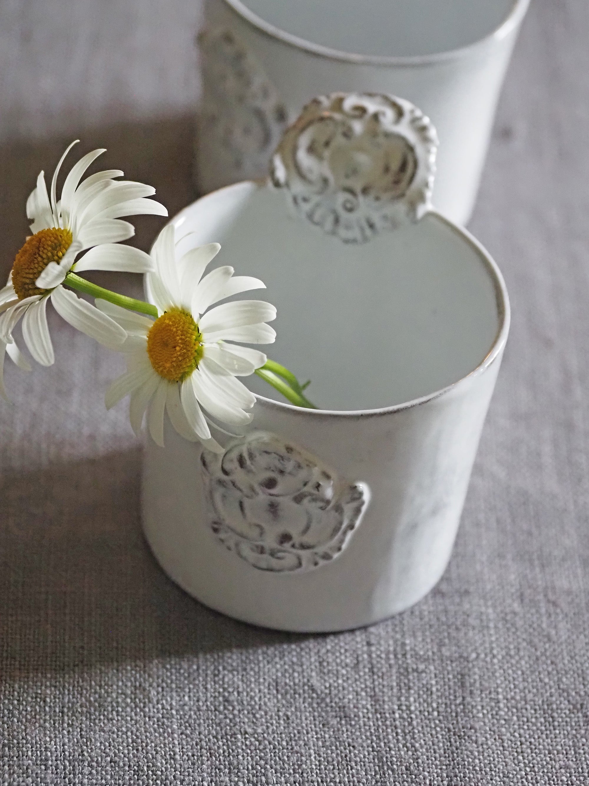 CARRON – Les Bleuets