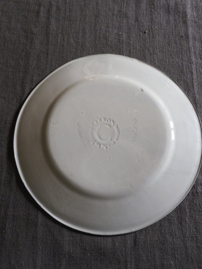 Charles Large flat plate