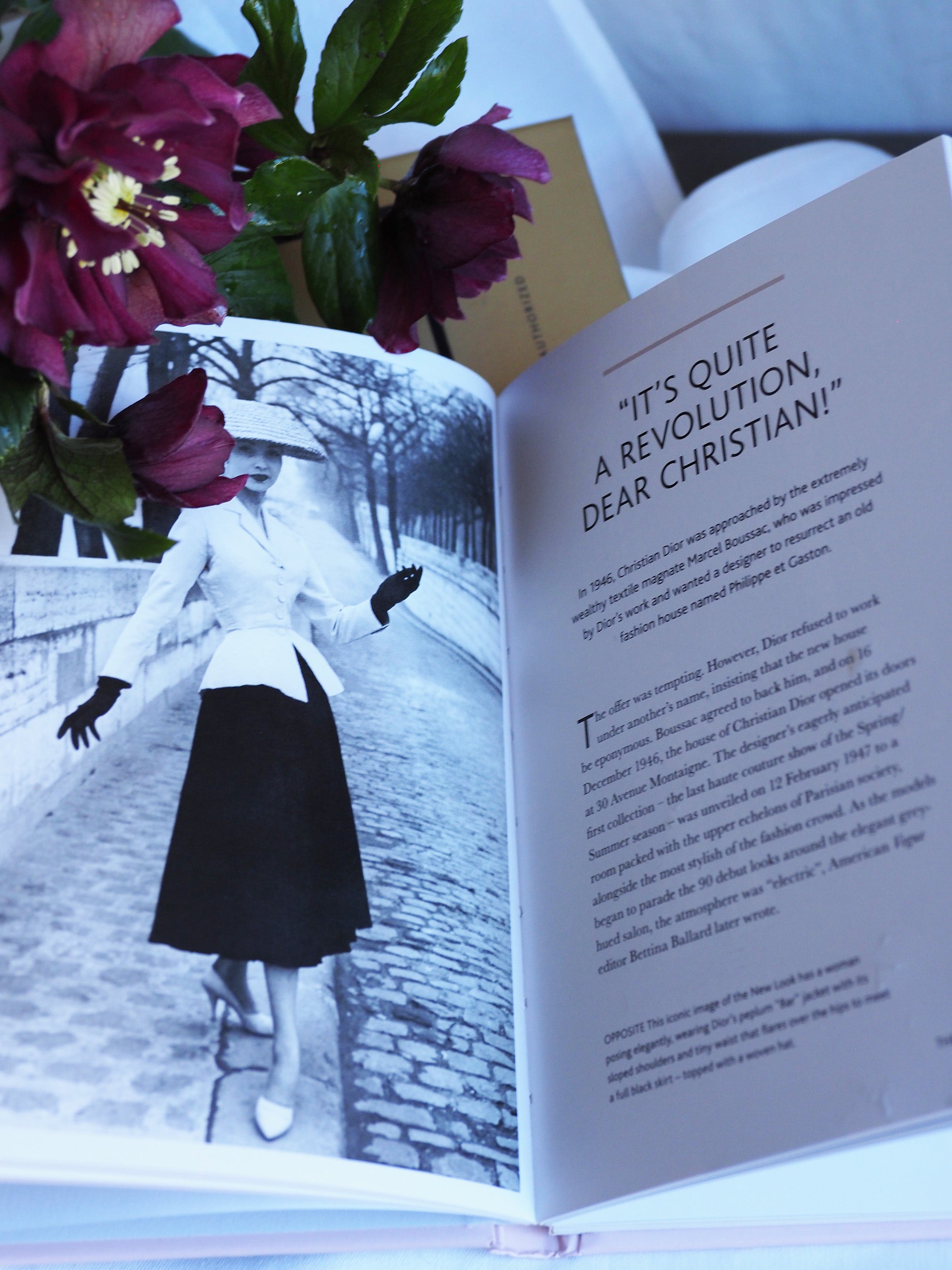Dior」 – Les Bleuets