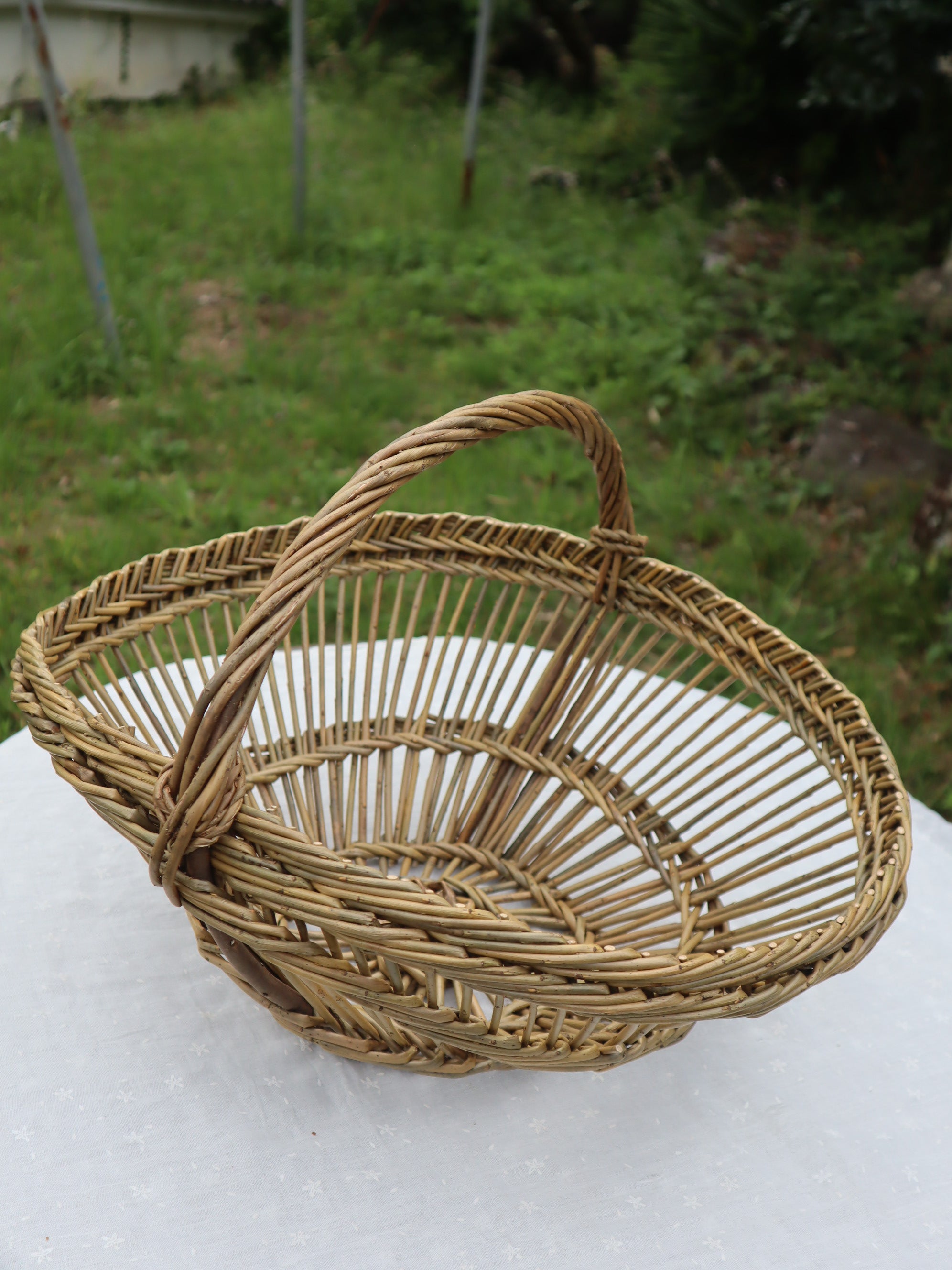 フルサイズ クエルボ? 津波 ヒヨコ アカシ ティート 5593 ECブルー 100 100mL×80本入 1個(80本×100mL) 島津ダイアグノ