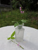 Vases Laurelle C