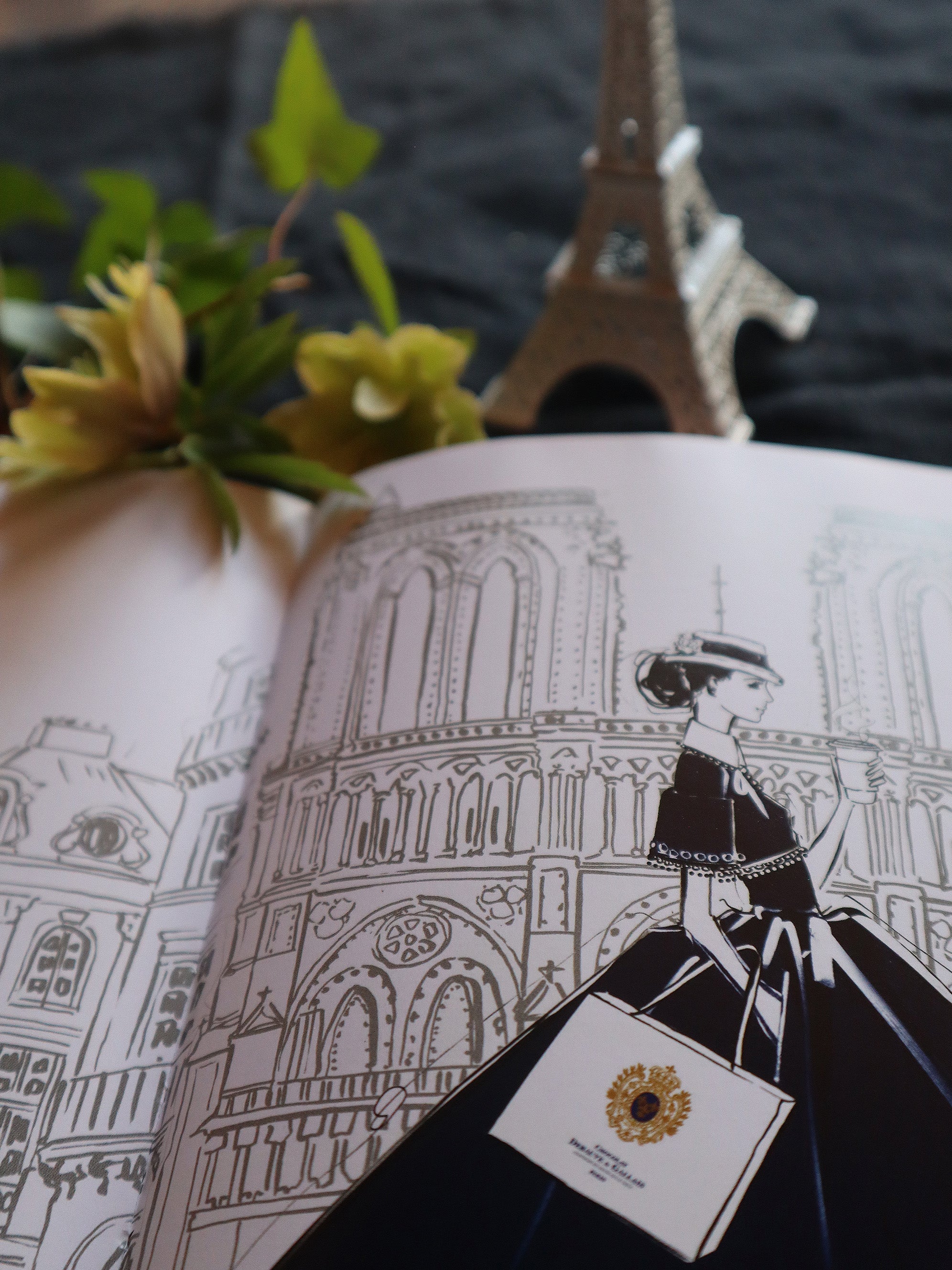 Paris-Through A Fashion Eye – Les Bleuets