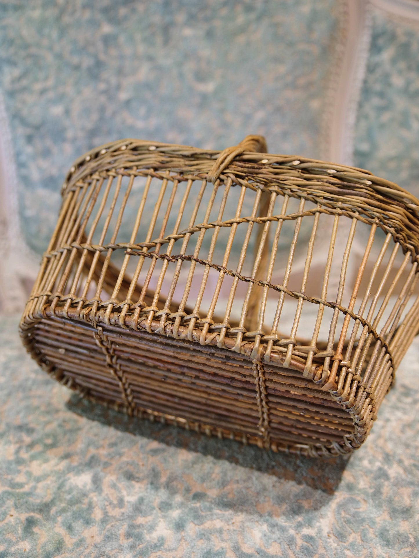 Panier de fraises B