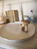 Plat de champignons