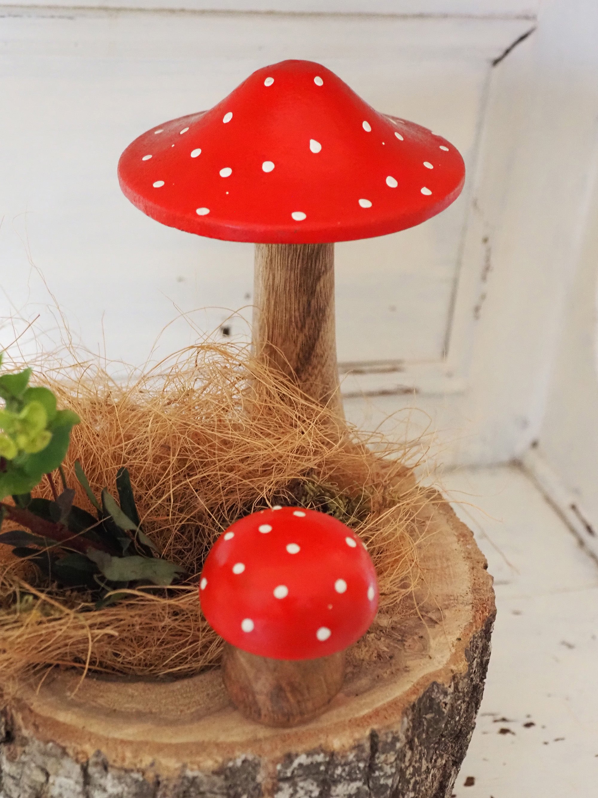 Champignon forestier S – Les Bleuets